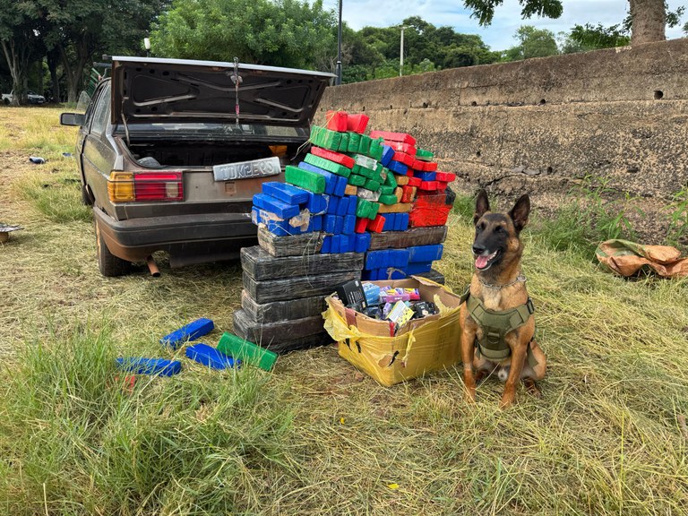 WhatsApp Image 2025-03-13 at 14.55.55.jpeg