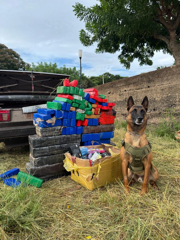 WhatsApp Image 2025-03-13 at 14.55.57.jpeg