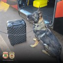 WhatsApp Image 2025-03-20 at 14.53.35.jpeg