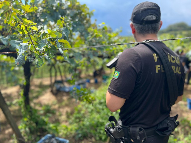 WhatsApp Image 2025-03-06 at 16.41.38 (1).jpeg