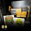 WhatsApp Image 2025-03-12 at 11.31.52.jpeg