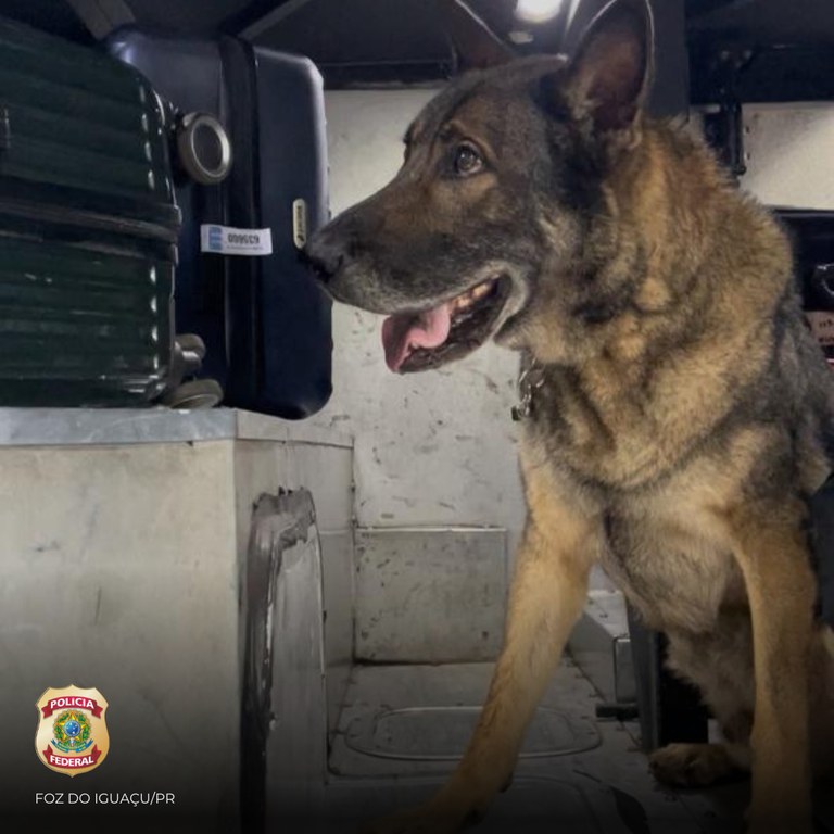 WhatsApp Image 2025-03-12 at 16.48.11.jpeg