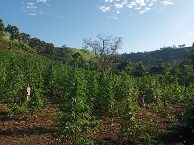 WhatsApp Image 2025-03-21 at 16.01.28.jpeg