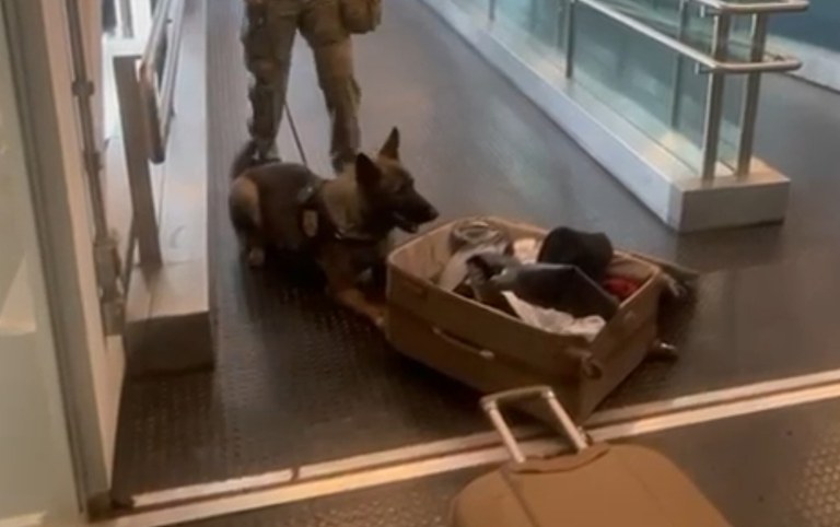 WhatsApp Image 2025-03-24 at 07.30.02.jpeg