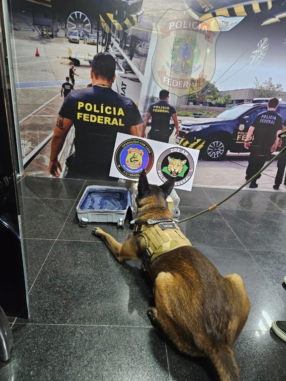 WhatsApp Image 2025-03-15 at 17.06.43.jpeg