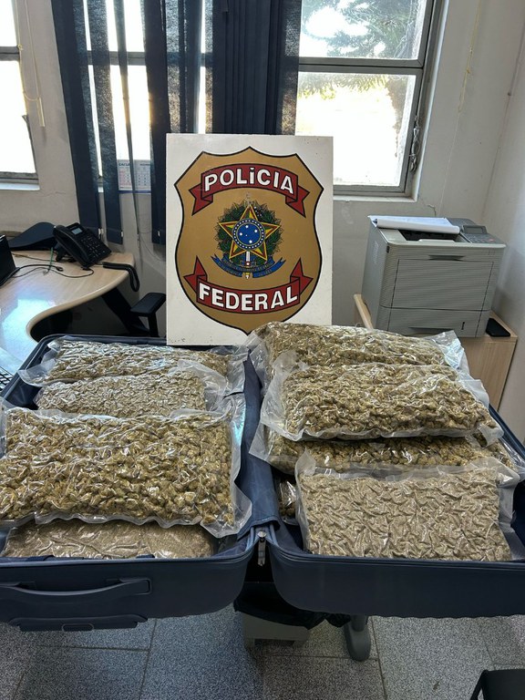 6cc41e92-fe47-4e49-a8d4-74965a9ef20c.jfif