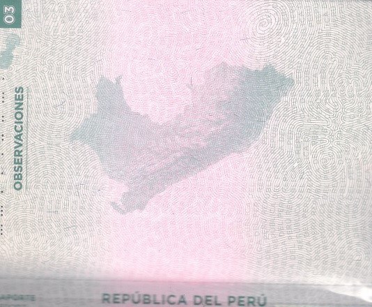 WhatsApp Image 2025-03-12 at 06.51.54.jpeg