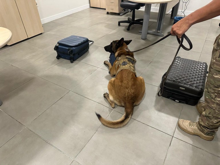 WhatsApp Image 2025-03-14 at 08.32.35.jpeg