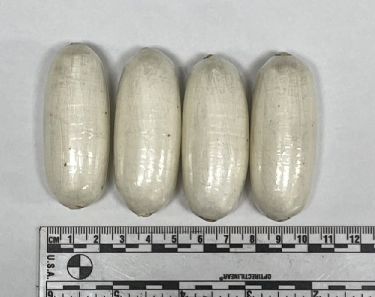 mulher engolida PM.jpg