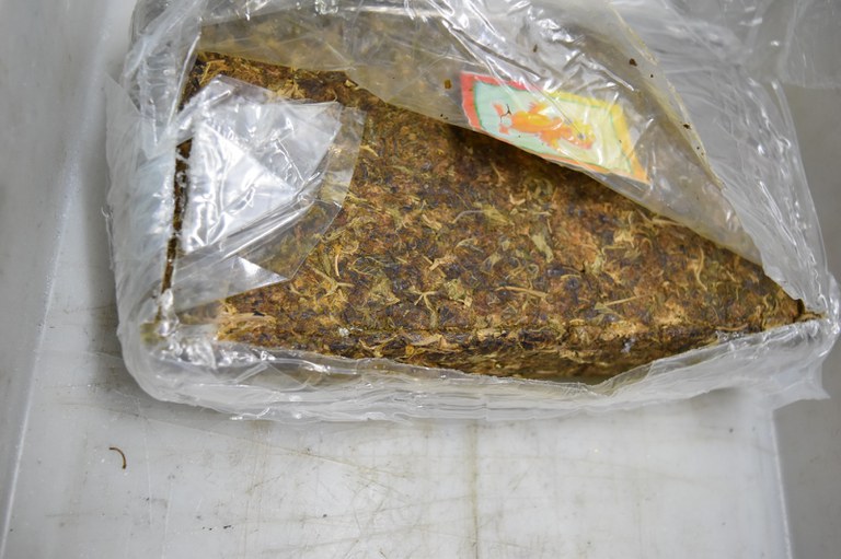 WhatsApp Image 2025-03-17 at 07.17.25 (2).jpeg