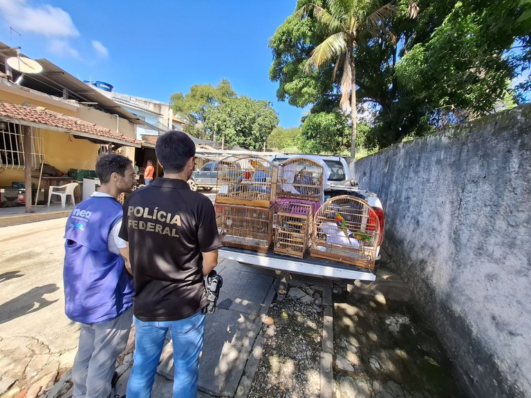 WhatsApp Image 2025-03-26 at 17.41.24.jpeg