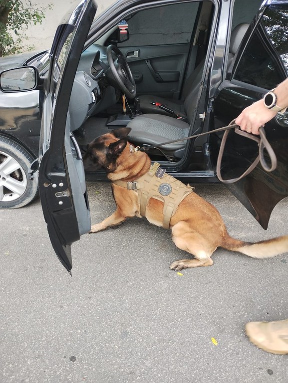 WhatsApp Image 2025-03-20 at 14.34.49 (1).jpeg