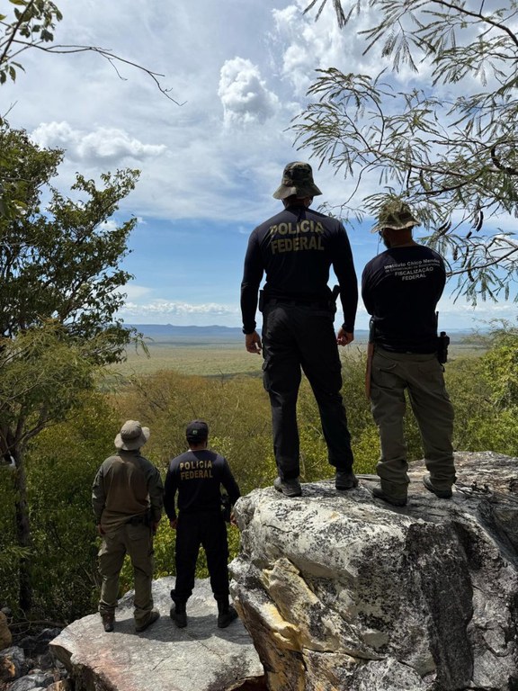 WhatsApp Image 2025-03-25 at 08.10.29.jpeg