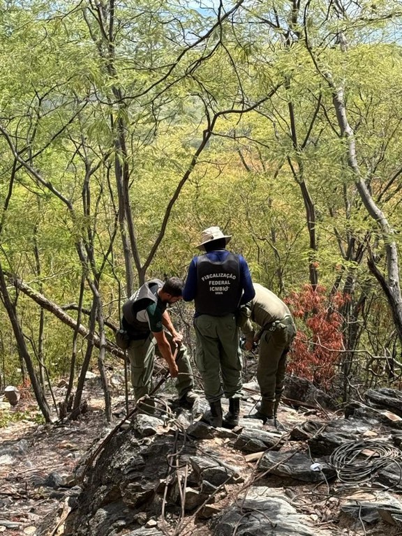 WhatsApp Image 2025-03-25 at 08.10.30.jpeg