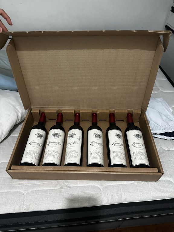 WhatsApp Image 2025-03-13 at 08.06.07 (1).jpeg