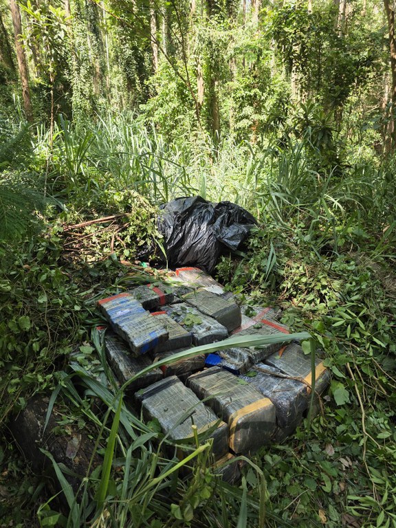 5b9f7c34-234c-4c2f-acd0-013fc7d15d1d.jfif