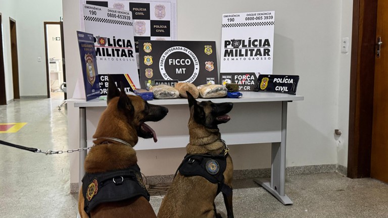 WhatsApp Image 2025-04-04 at 08.46.06.jpeg