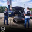 WhatsApp Image 2025-04-08 at 19.12.51.jpeg