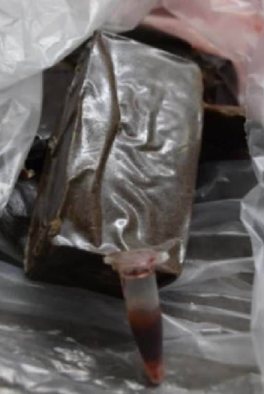 WhatsApp Image 2025-04-22 at 11.51.21.jpeg