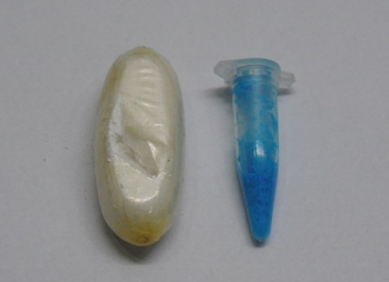 WhatsApp Image 2025-04-22 at 11.51.23 (1).jpeg