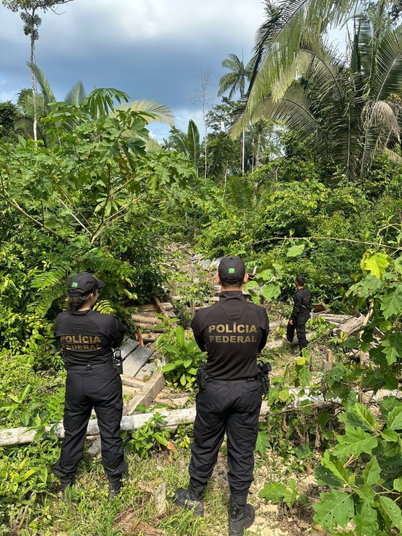 WhatsApp Image 2025-04-03 at 12.28.10 (1).jpeg