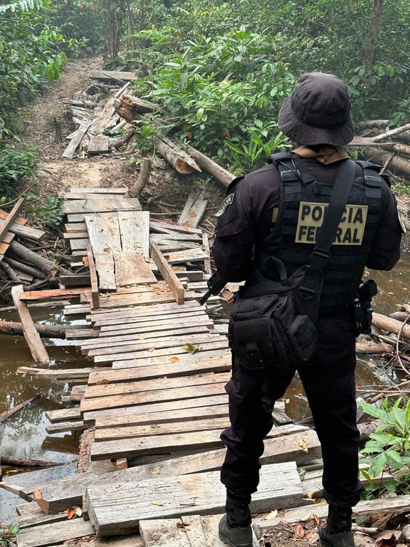 WhatsApp Image 2025-04-03 at 12.28.11.jpeg