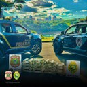 WhatsApp Image 2025-04-14 at 23.34.36.jpeg