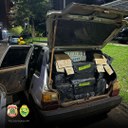 WhatsApp Image 2025-04-02 at 09.52.59.jpeg