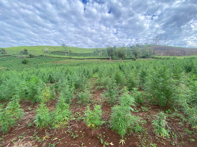 WhatsApp Image 2025-04-16 at 15.36.52.jpeg