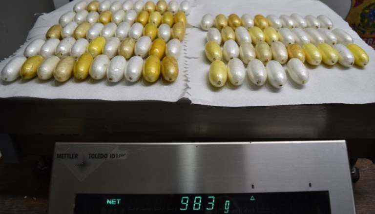 WhatsApp Image 2025-04-07 at 09.49.16 (2).jpeg