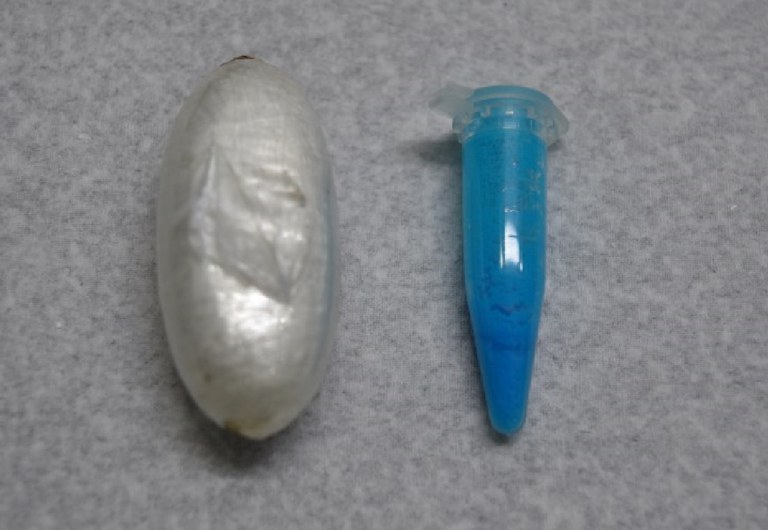 WhatsApp Image 2025-04-07 at 09.49.17.jpeg