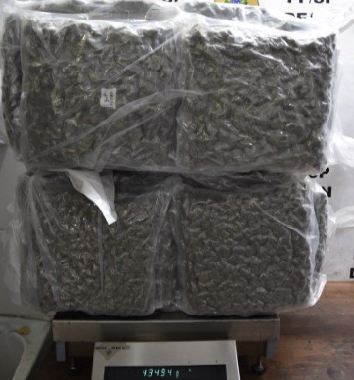 WhatsApp Image 2025-04-02 at 07.01.46 (1).jpeg