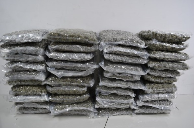 WhatsApp Image 2025-04-02 at 07.01.46.jpeg