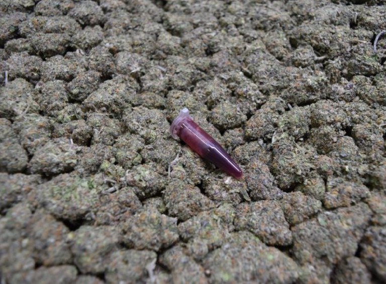 WhatsApp Image 2025-04-02 at 07.01.47.jpeg