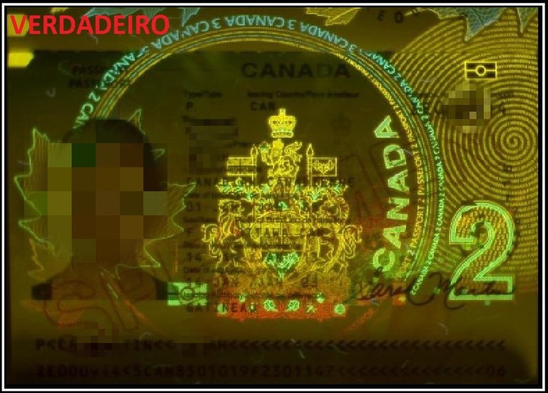 WhatsApp Image 2025-04-01 at 08.39.57 (1).jpeg