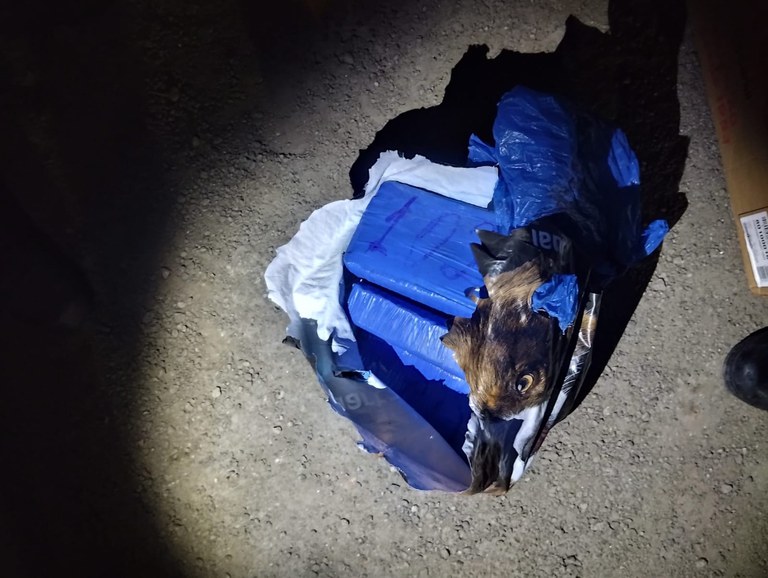 WhatsApp Image 2025-04-28 at 19.54.20.jpeg