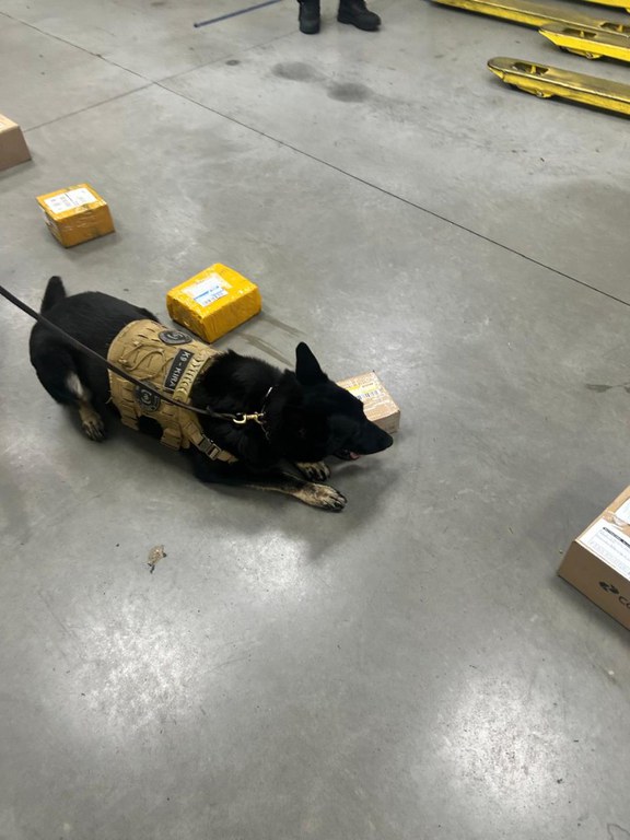 WhatsApp Image 2025-04-04 at 08.13.44.jpeg