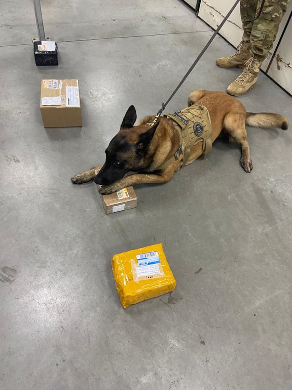 WhatsApp Image 2025-04-04 at 08.13.48.jpeg