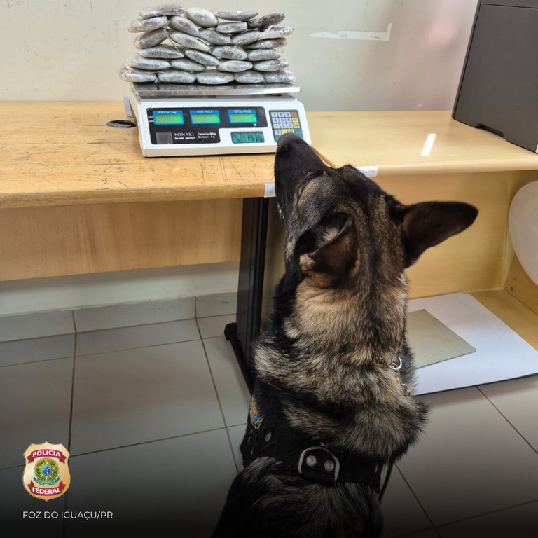 WhatsApp Image 2025-04-10 at 17.37.03.jpeg