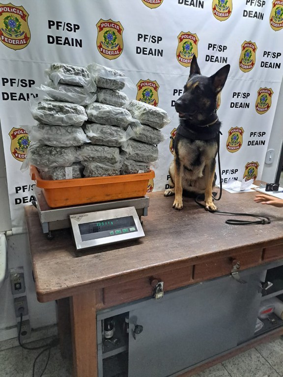 WhatsApp Image 2025-04-24 at 10.07.45.jpeg