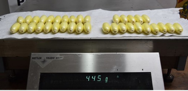 WhatsApp Image 2025-04-25 at 11.28.57 (1).jpeg