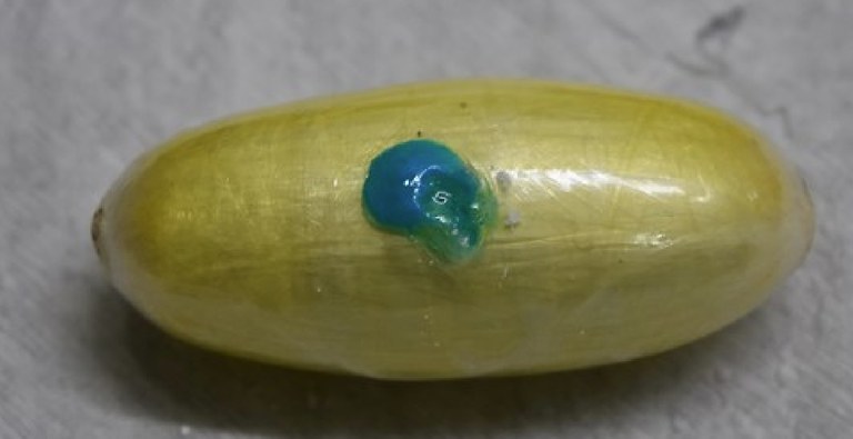 WhatsApp Image 2025-04-25 at 11.28.58.jpeg