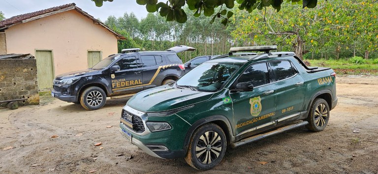 WhatsApp Image 2025-04-08 at 10.47.57.jpeg