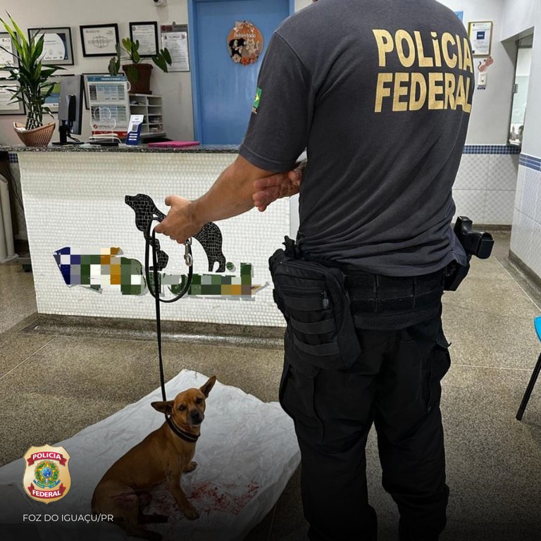 WhatsApp Image 2025-04-08 at 19.13.00 (1).jpeg