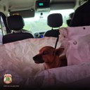 WhatsApp Image 2025-04-08 at 19.13.00.jpeg