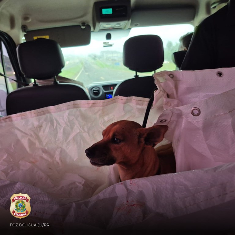 WhatsApp Image 2025-04-08 at 19.13.00.jpeg