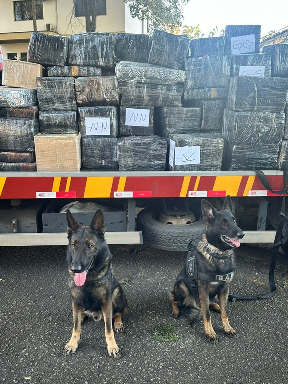 WhatsApp Image 2025-05-21 at 08.13.16 (1).jpeg