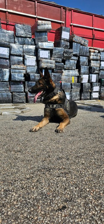 WhatsApp Image 2025-05-21 at 08.13.16 (2).jpeg