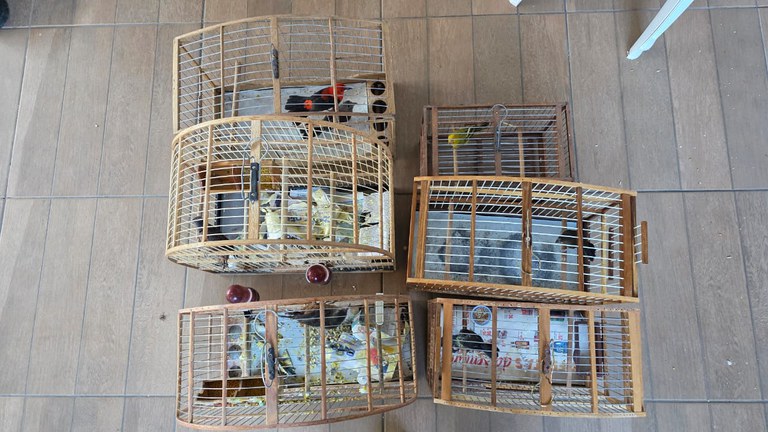 WhatsApp Image 2025-05-06 at 10.56.08 (1).jpeg