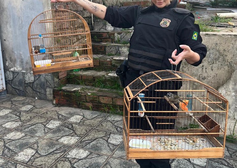 WhatsApp Image 2025-05-06 at 10.56.10.jpeg